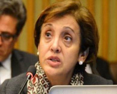 پاکستان-امریکا دہشت گردی اور القاعدہ کیخلاف جنگ میں اہم پارٹنر ہیں، تہمینہ جنجوعہ