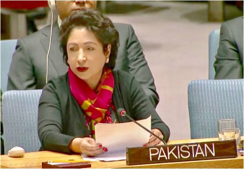 'افغانستان میں فورسز کی تعداد بڑھانے سے امن کی توقع نہیں کی جا سکتی ہے'