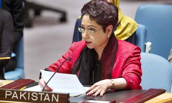 'پاکستان اقوام متحدہ میں کشمیریوں کا مقدمہ اخلاقی اور قانونی بنیاد پر لڑ رہا ہے'