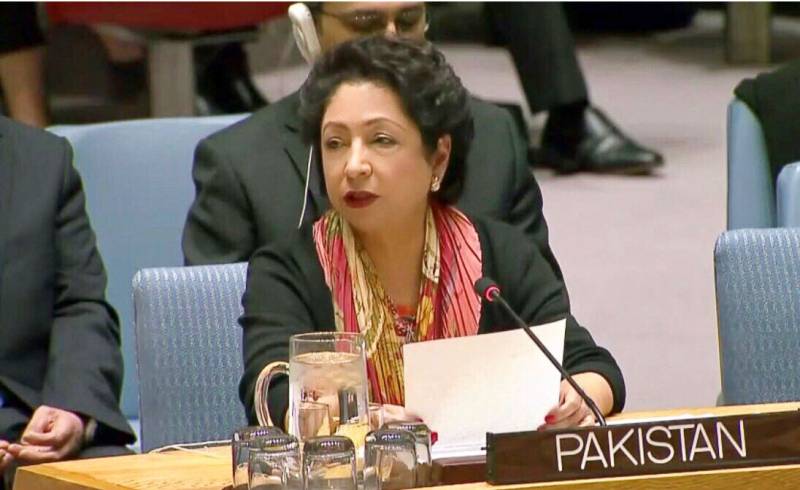 نا انصافی نوجوانوں کو پرتشدد بنا کر انتہا پسندی کی طرف دھکیلتی ہے، ملیحہ لودھی