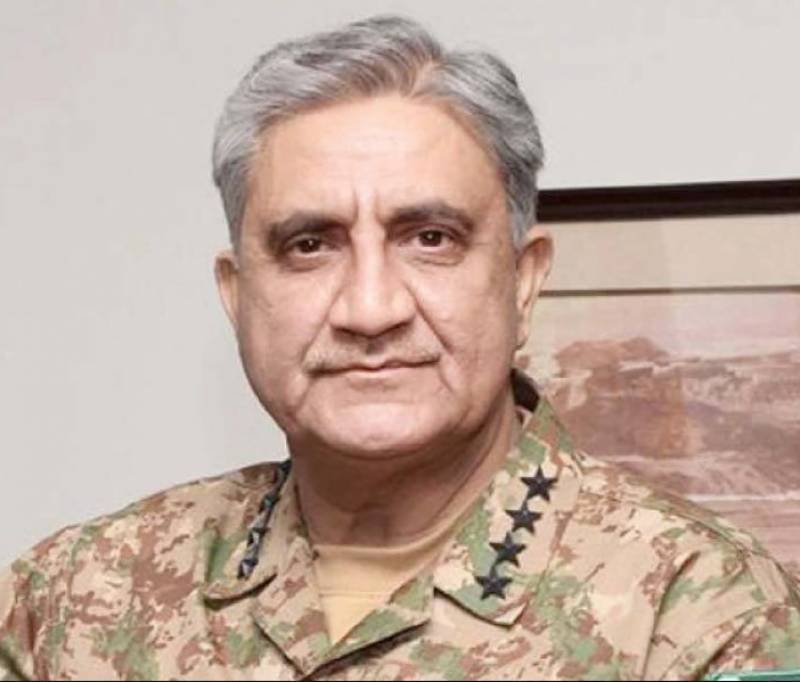 چند عناصر نوجوان نسل کے ذہنوں پر اثر انداز ہو کر انتشار پھیلانا چاہتے ہیں: آرمی چیف
