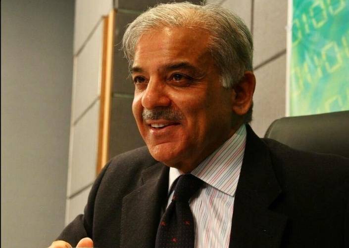عمران خان نے لاک ڈاؤن، دھرنوں کے علاوہ کچھ نہیں کیا: شہباز شریف
