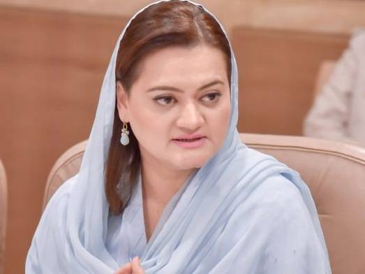 عمران خان 100 روزہ پلان بنا کر اپنی 5 سالہ کارکردگی نہیں چھپا سکتے: مریم اورنگزیب