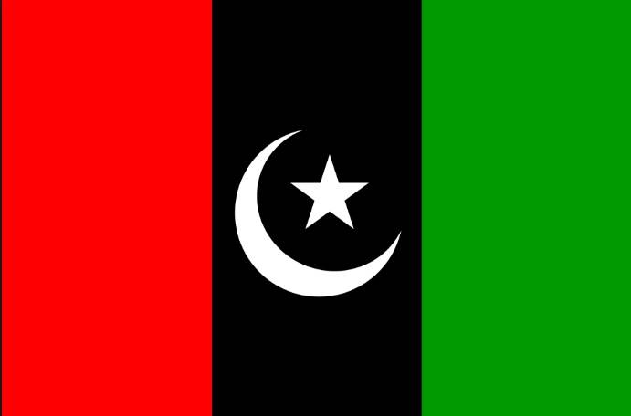 پیپلز پارٹی اس دفعہ تیر نہیں بلکہ کس انتخابی نشان سے الیکشن لڑے گی؟ حیران کن خبر