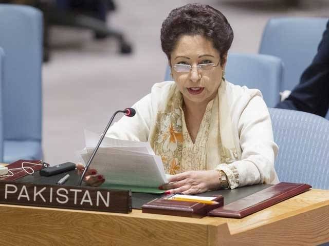 'سلامتی کونسل کے مستقل ارکان کی تعداد بڑھانے میں جلد بازی خطرناک ہے'
