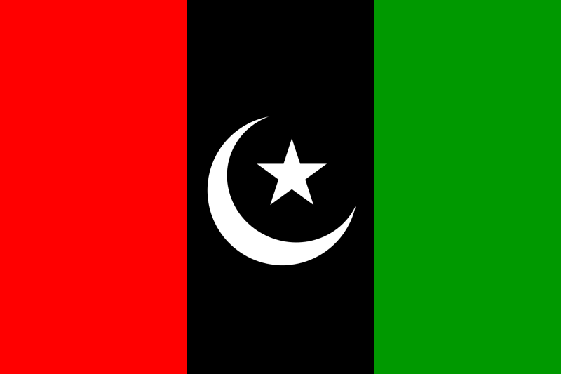 پی پی پی نے پنجاب میں قومی اور صوبائی اسمبلیوں کے امیدوار فائنل کر لیے 