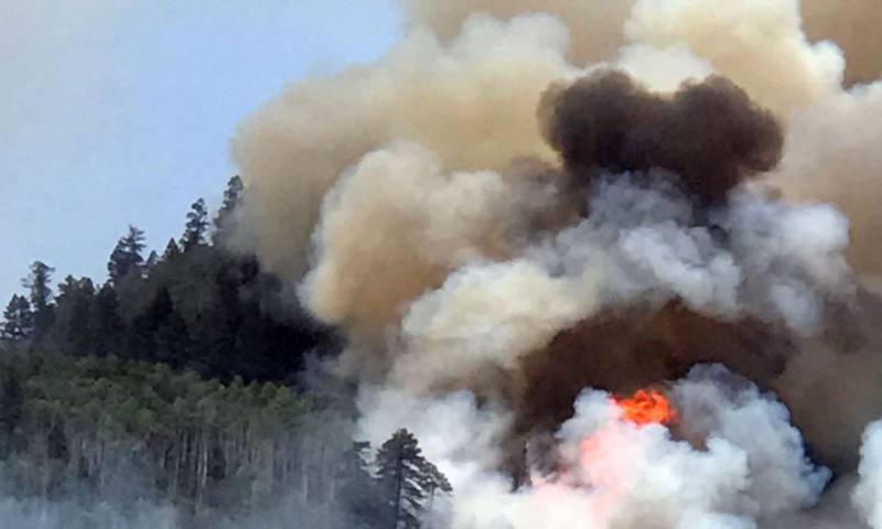 امریکہ: کولوراڈو کے جنگلات میں آتش زدگی، رہائشیوں کا ا