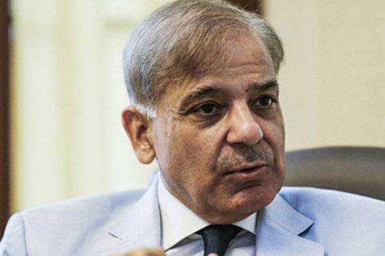سادہ اکثریت ملی، پھر بھی قومی حکومت بنائیں گے، شہباز شریف کا اعلان