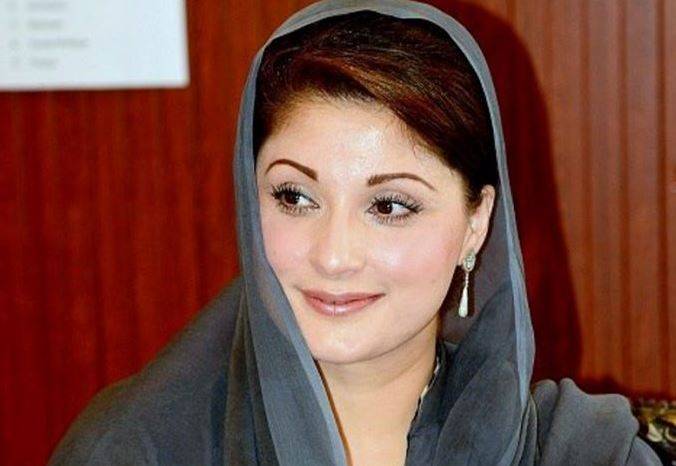 علی پرویز ملک نے مریم نواز کی جگہ الیکشن لڑنے کی درخواست دے دی 
