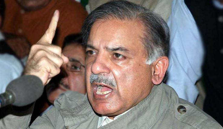 سیاسی ورکروں کوگدھا کہنا انسانیت کی تذلیل ہے ، شہباز شریف 