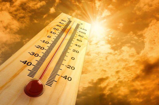 جاپان میں گرمی نے 30 جانیں لے لی 