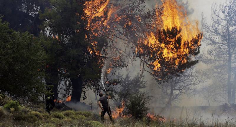 یونان کے جنگل میں آگ بھڑک اٹھی،50افراد ہلاک