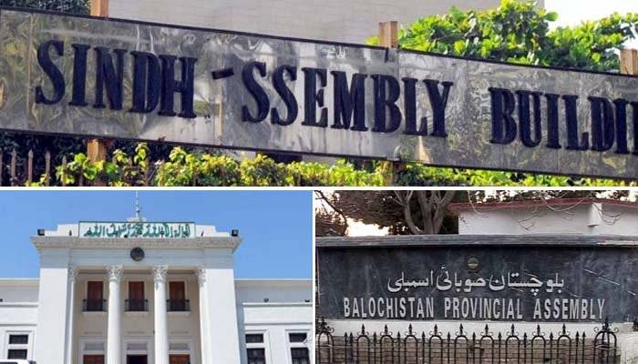 کے پی، بلوچستان اور سندھ اسمبلی کے اراکین نے حلف اٹھا لیا
