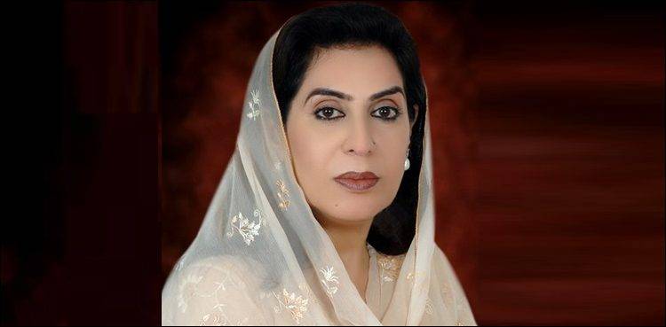 پی ٹی آئی حکومت سے بھرپور تعاون جاری رکھیں گے، ڈاکٹر فہمیدہ مرزا