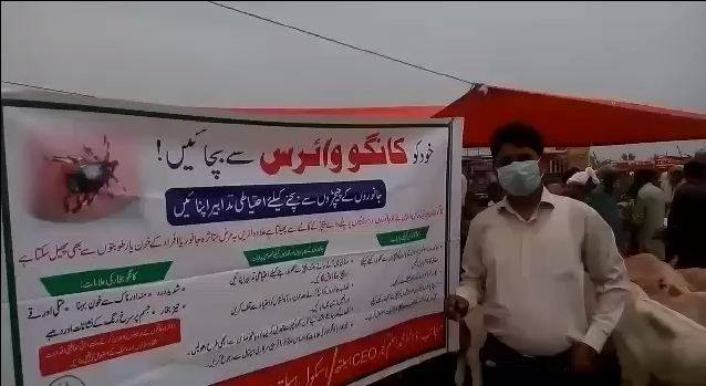جلال پور بھٹیاں منڈی مویشاں میں گانگو وائرس سے بچاؤکےلیے مہم کا آغاز 