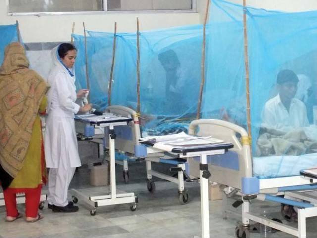 راولپنڈی: 24 گھنٹوں کے دوران مزید 17 مریضوں میں ڈینگی کی تصدیق