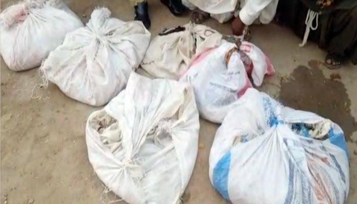 بدین، گاڑی سے 11 سو زہریلے سانپ برآمد، 2 ملزم گرفتار