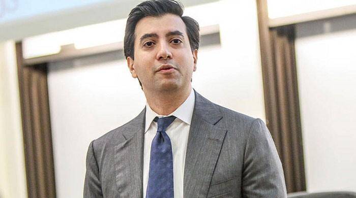  علی جہانگیر کی امریکا میں بطور سفیر تعیناتی کیخلاف درخواست خارج