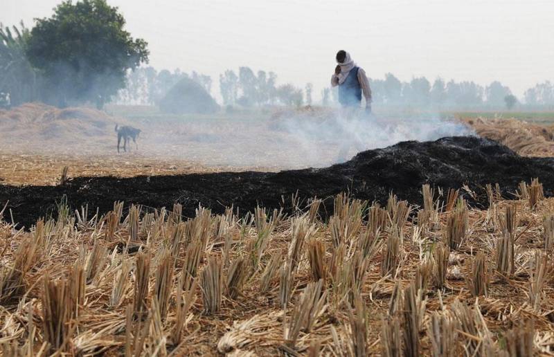 پنجاب میں فصلوں کی باقیات، پولی تھین اور ربڑ جلانے پر پابندی