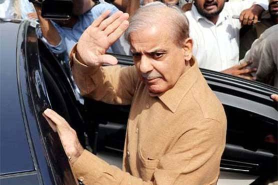 شہباز شریف کے جسمانی ریمانڈ میں مزید 10 دن کی توسیع