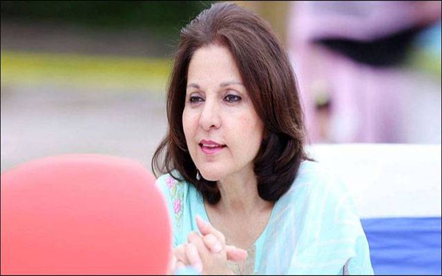 جہانگیر ترین کی ہمشیرہ بھی سینیٹ انتخابات میں حصہ لیں گی