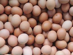 پنجاب فوڈاتھارٹی کی چیچہ وطنی میں کارروائی،1لاکھ سے زائد گندے انڈے برآمد