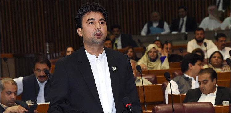 روک سکو تو روک لو پاکستان لوٹنے والوں کا احتساب ہو گا، مراد سعید
