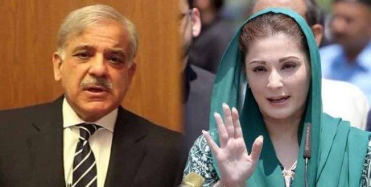سرکاری جہاز کا استعمال : حکومت کا مریم اور شہباز شریف کیخلاف نیب سے تحقیقات کرانے کا اعلان
