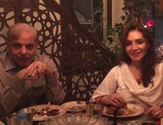 شہباز شریف سے ملاقات نے تہمینہ درانی کو پریشان کردیا