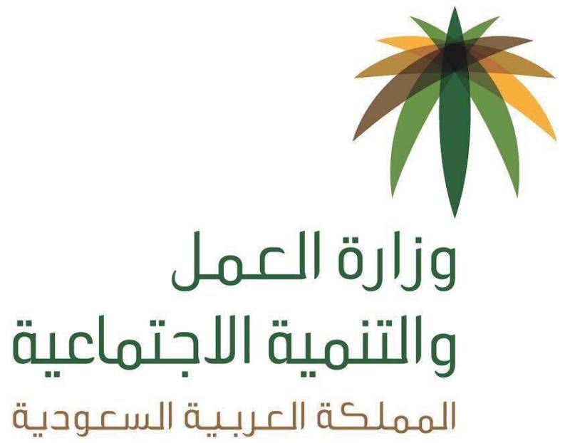 سعودی وزارت محنت نے گھریلو ملازمین کے شعبے میں کئی نئے پیشوں کا اضافہ کر دیا 