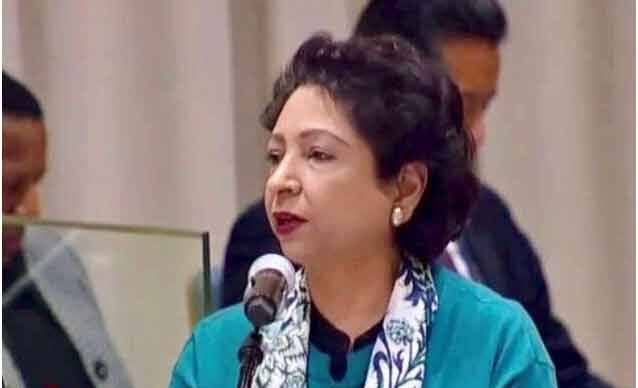 سی پیک ترقی پزیر ممالک کے درمیان شراکت داری کی روشن مثال ہے، ملیحہ لودھی