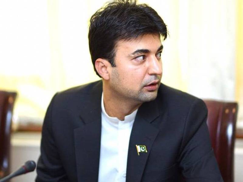 مسلم لیگ ن کے 7 لوگوں نے این آر او مانگا، مراد سعید کا دعویٰ