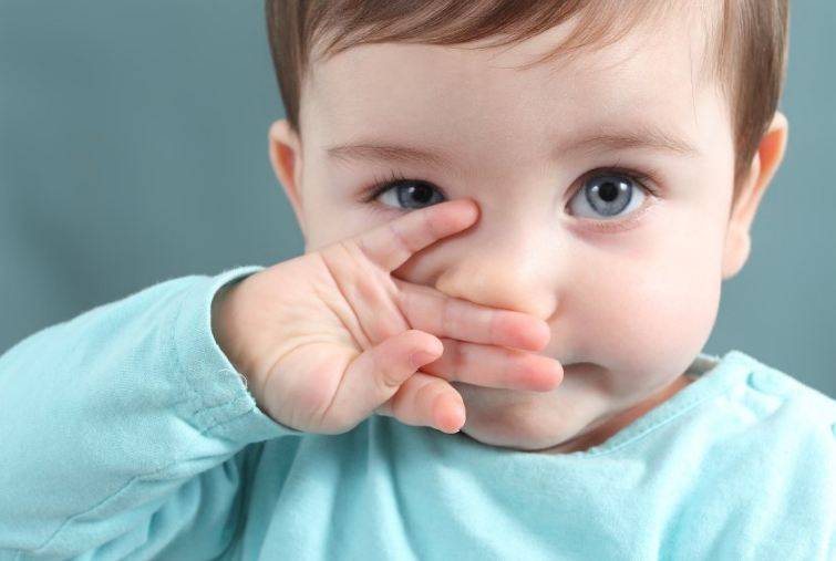  من پسند چاکلیٹ کھائیں اور کھانسی سے چھٹکارا پائیں 