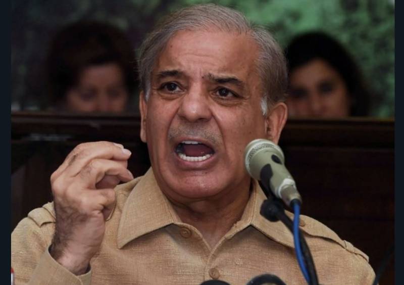   شہباز شریف لندن میں 4 فلیٹس کے مالک ، ایف بی آر رپورٹ 