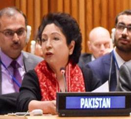 'سلامتی کونسل میں توسیع چند ممالک کے بجائے تمام ممالک کے مفاد میں ہونی چاہیے'