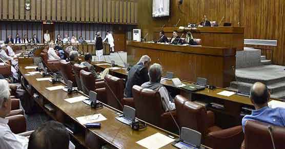 حج اخراجات میں اضافہ، اپوزیشن کا سینٹ میں احتجاج