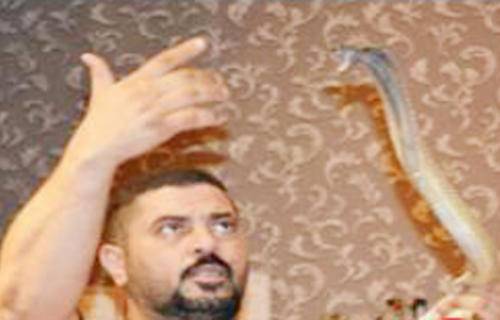 سعودی نوجوان 5ہزار سانپ پکڑ چکا