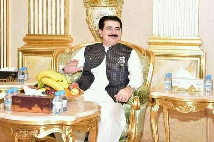 صادق سنجرانی قائم مقام صدر کیلئے اہل قرار