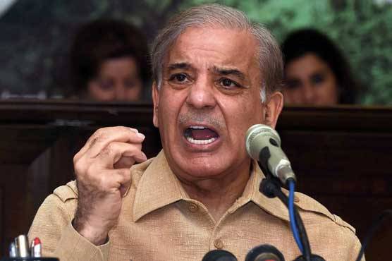 شہباز شریف کا سرکاری اور نجی ملازمین کی تنخواہوں میں اضافے کا مطالبہ 