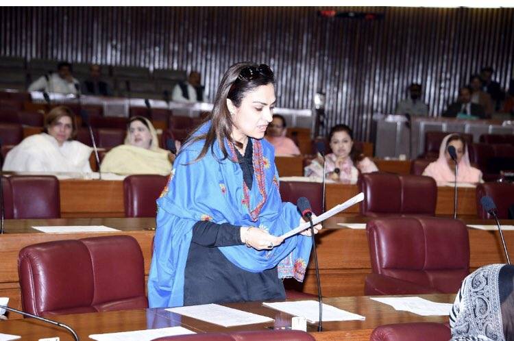 حقائق سے پردہ اٹھا دیا تو ن لیگی قیادت کی اخلاقیات کا کچا چٹھا سامنے آجائے گا:ماروی میمن
