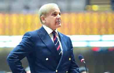 (ن) لیگ کا کسی بھی شخص کی ذاتی زندگی سے کوئی لینا دینا نہیں، شہباز شریف