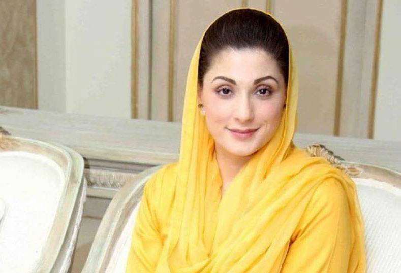 مریم نواز کو پارٹی کی نائب صدر بنانے کے خلاف سماعت آج ہو گی