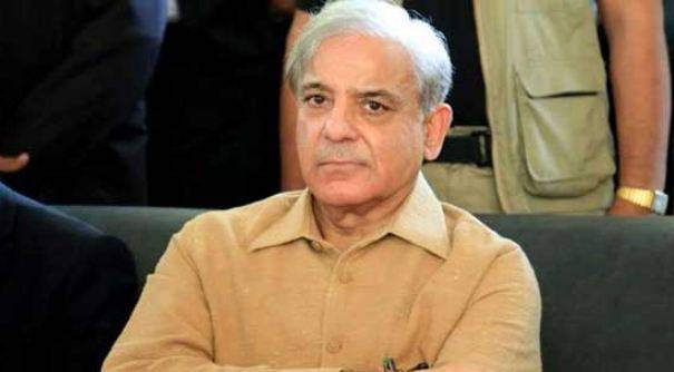 راناثنااللہ کی گرفتاری ریاستی دہشتگردی کابدترین واقعہ ہے، شہباز شریف 