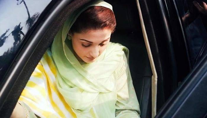  چوہدری شوگر ملز کیس، مسلم لیگ (ن) کی نائب صدر نیب کے سامنے پیش