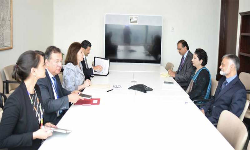 سیکریٹری جنرل اقوام متحدہ بھارتی اقدام پر کردار ادا کریں، ملیحہ لودھی