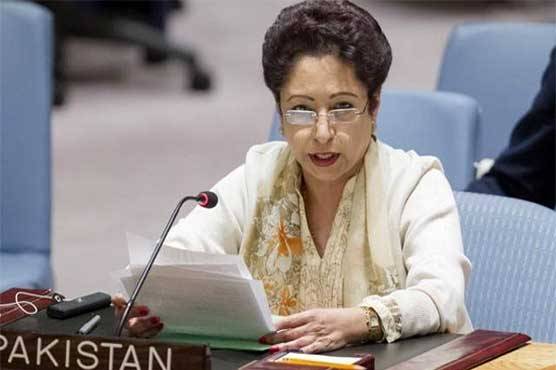 مسئلہ کشمیر پر بھارتی اقدام سے امن متاثر ہو رہا ہے، ملیحہ لودھی