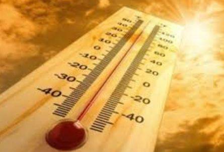 ہالینڈ، شدید گرمی سے ہلاک ہونے والوں کی تعداد 400 ہو گئی
