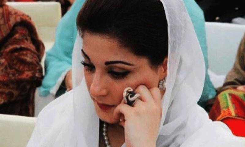 مریم نواز کو پارٹی عہدے سے ہٹانے کی درخواست پر فصلہ نہ ہوسکا