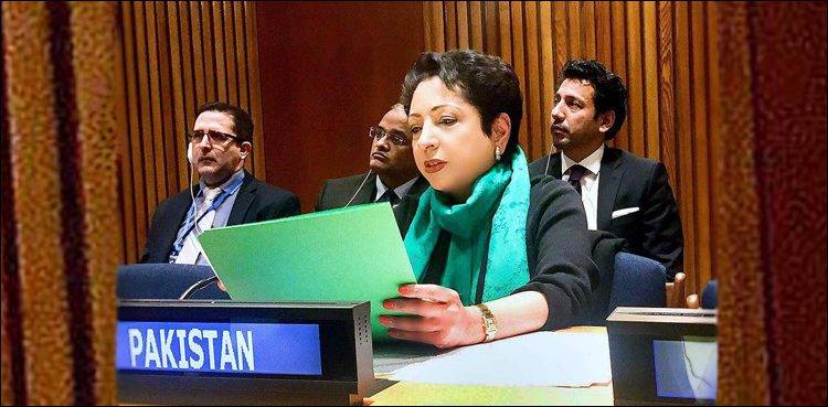 مقبوضہ کشمیر میں انسانیت سوز مظالم کو ختم ہونا ہوگا:ملیحہ لودھی