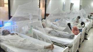 پنجاب میں ڈینگی کے مزید 348 کیسز، تعداد 2 ہزار سے تجاوز کر گئی